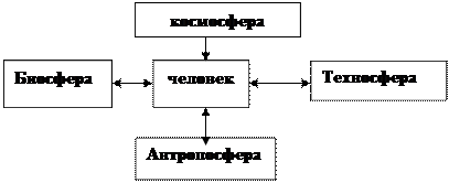 Доклад Биосфера Человек Космос