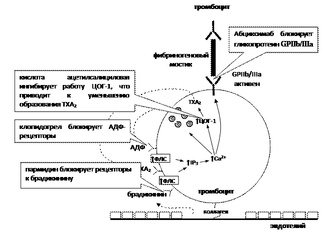 Механизм действия антиагрегантов