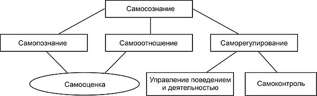 Заполните схему самопознание размышление о самооценка включает начинается с того что