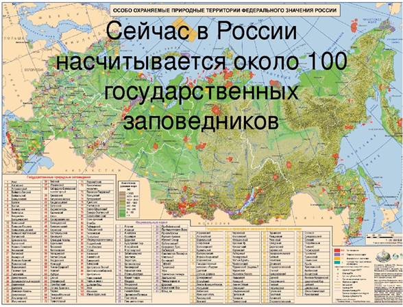 Реферат: Особо охраняемые природные территории мира и некоторые проблемы Российского заповедного дела