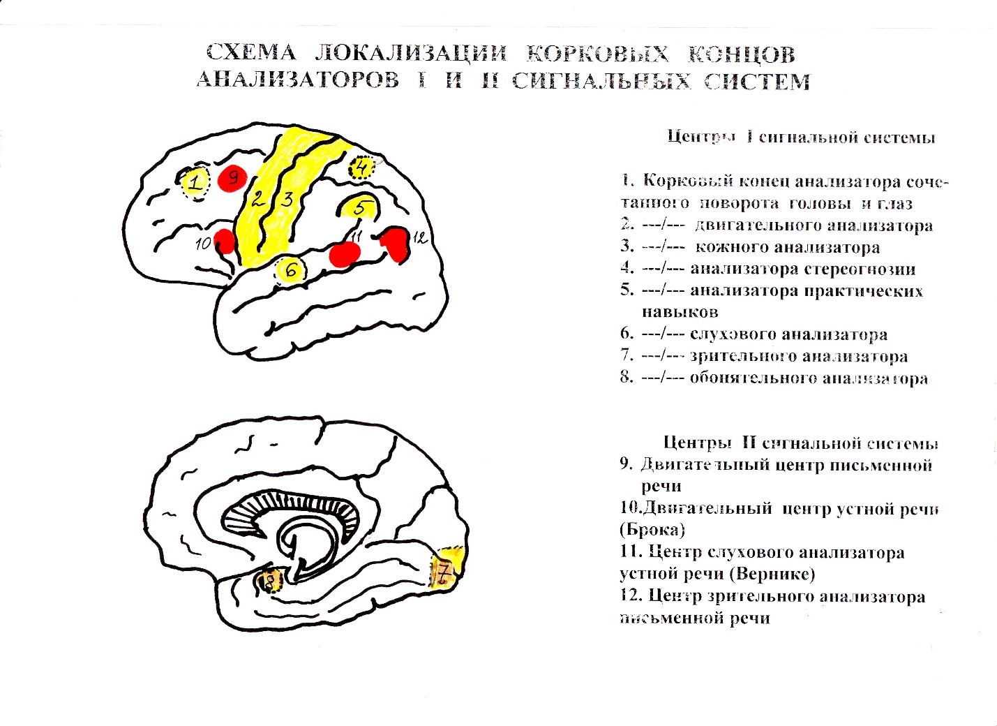 Вторая сигнальная система схема