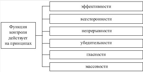 Функция контроля относится к каким функциям. Принципы функции контроля. Принципы контроля в менеджменте. Функция контроля действует на принципах. Принципы контроля в управлении.