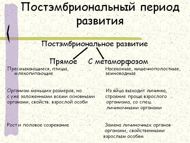 Рассмотрите внимательно схемы постэмбрионального развития животных назовите типы их развития