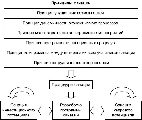 Понятие санации