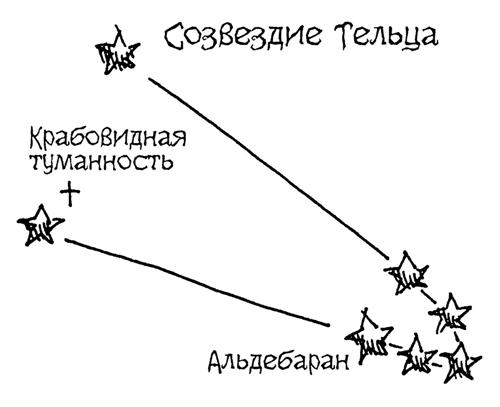 Созвездие тельца схема