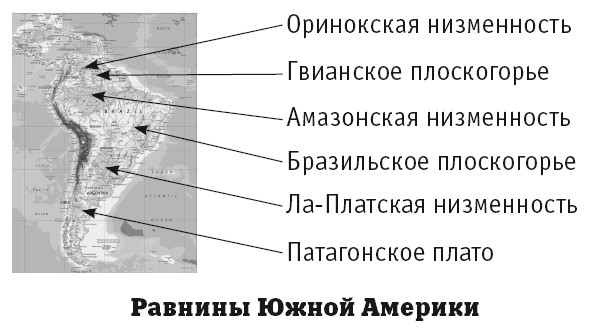 Сравните лаплатскую и оринокскую низменность по плану положение на материке