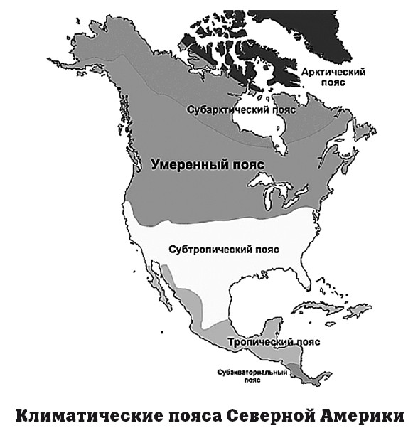 Особенно изрезанные берега материка северная америка. Субарктический пояс Северной Америки. Субтропический пояс Северной Америки. Климатические пояса Северной Америки. Виды умеренного пояса Северной Америки.