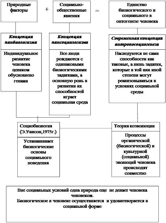 Курсовая работа: Роль трудовой концепции в антропосоциогенезе