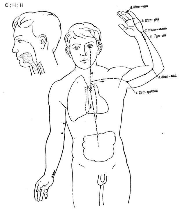 Расположение точки 1. Меридиан сердца внутренний ход. Меридиан сердца точки. Меридиан сердца биологически активные точки. Акупунктура точки сердечный Меридиан.
