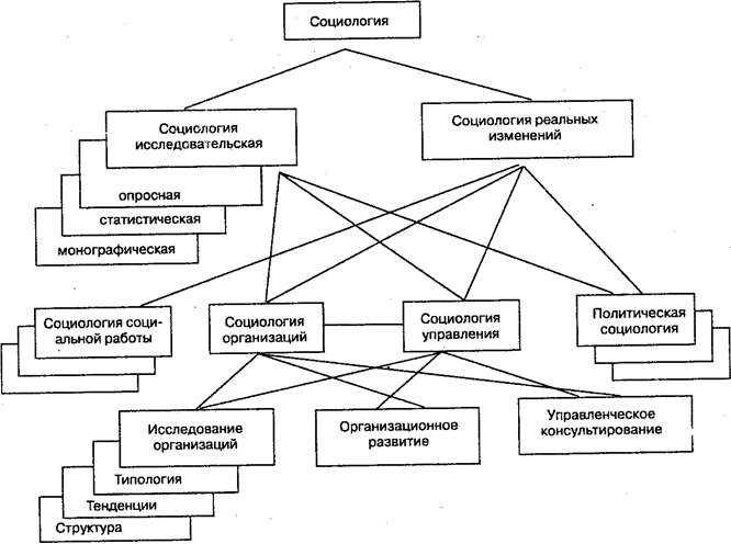 Социология в схемах и определениях кравченко