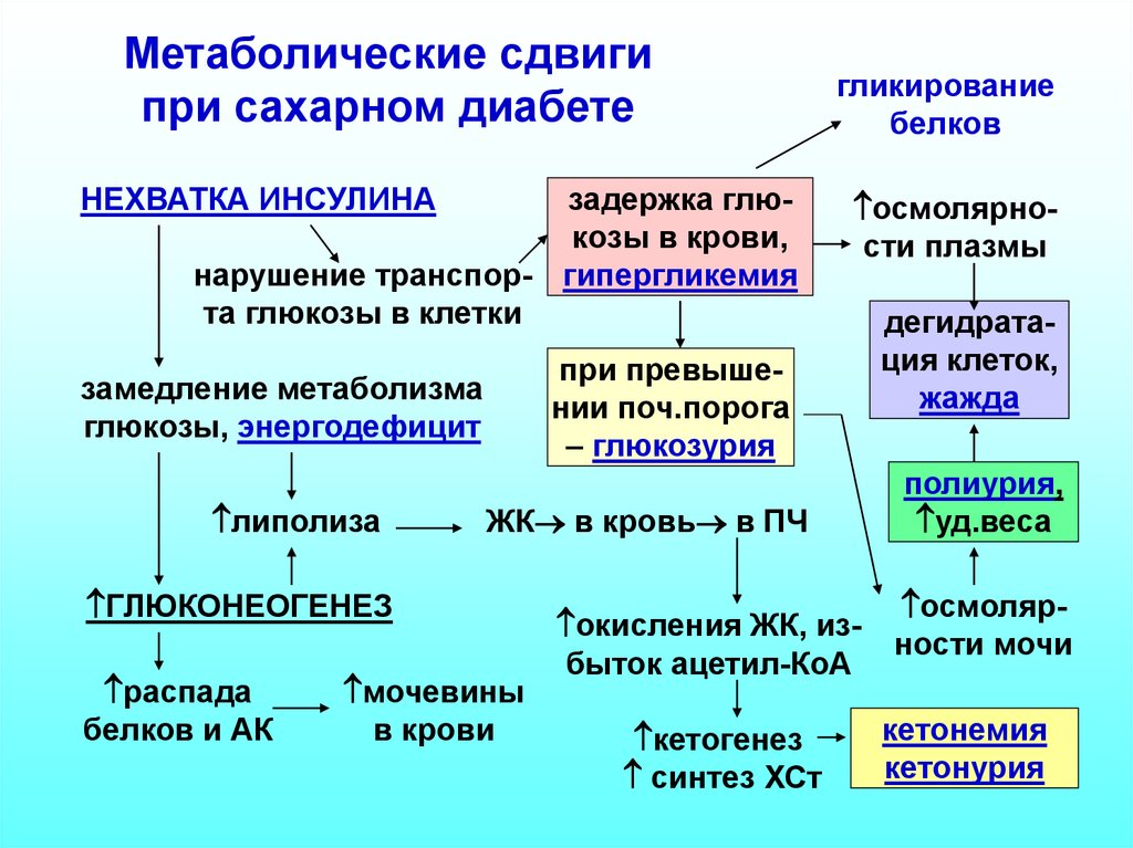 Схема фонирования при сахарном диабете второго типа