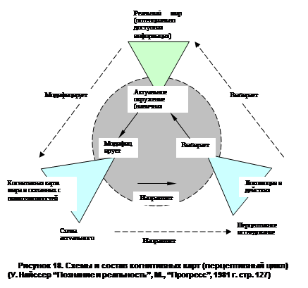 Перцептивная схема и перцептивный цикл