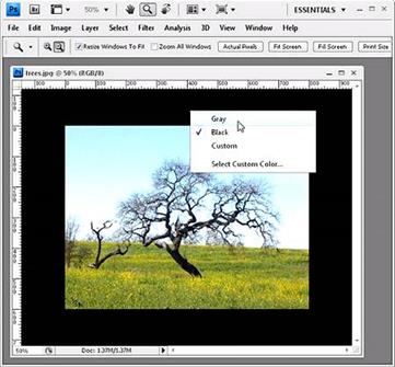 Adobe photoshop реферат палитра инструмента вид экрана