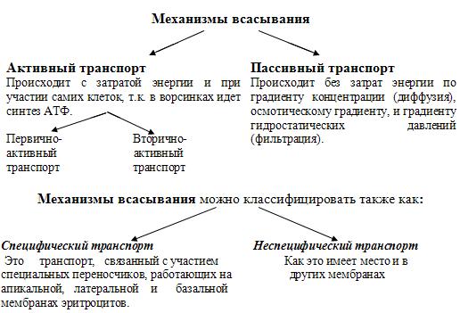 Пассивное всасывание. Механизмы всасывания. Механизм всасывания углеводов. Всасывание активный транспорт. Механизмы всасывания в ЖКТ.