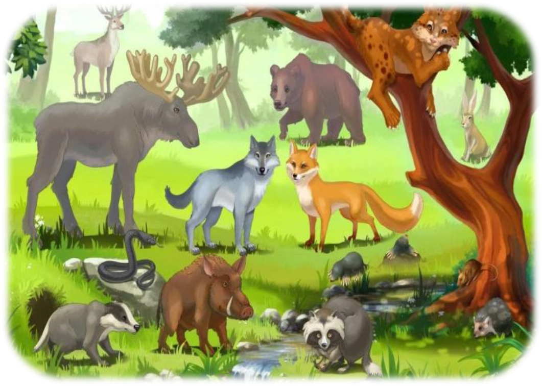 Диких животных для детей. Дикие животные для детей. Ребенок и дикое животное. Лесные животные для детей.