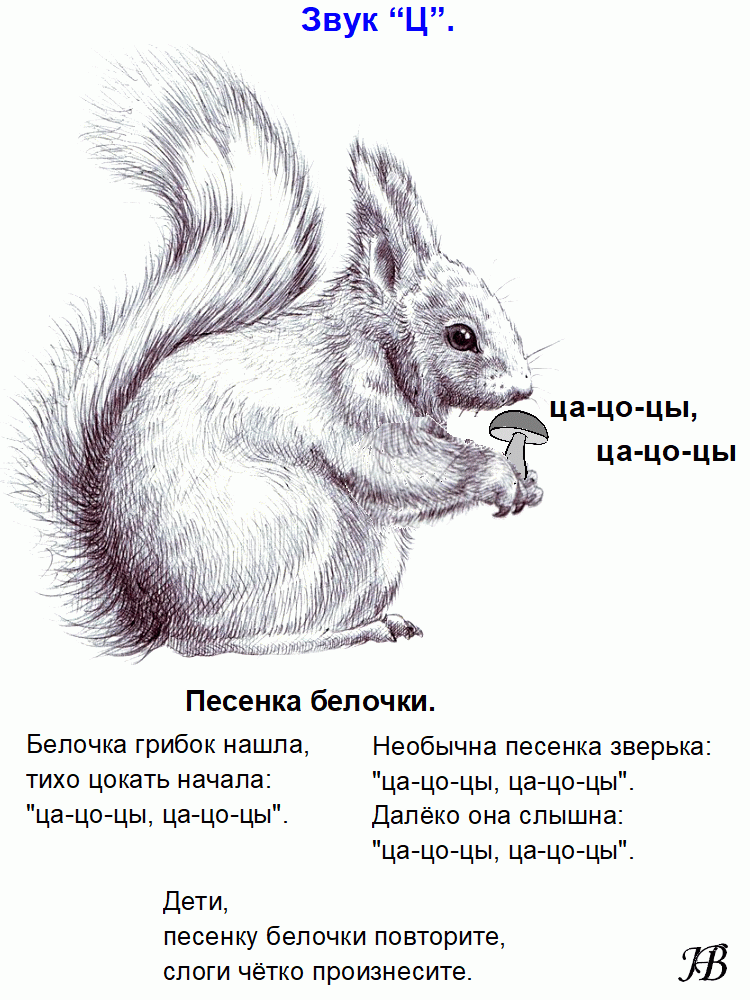 Песня белки