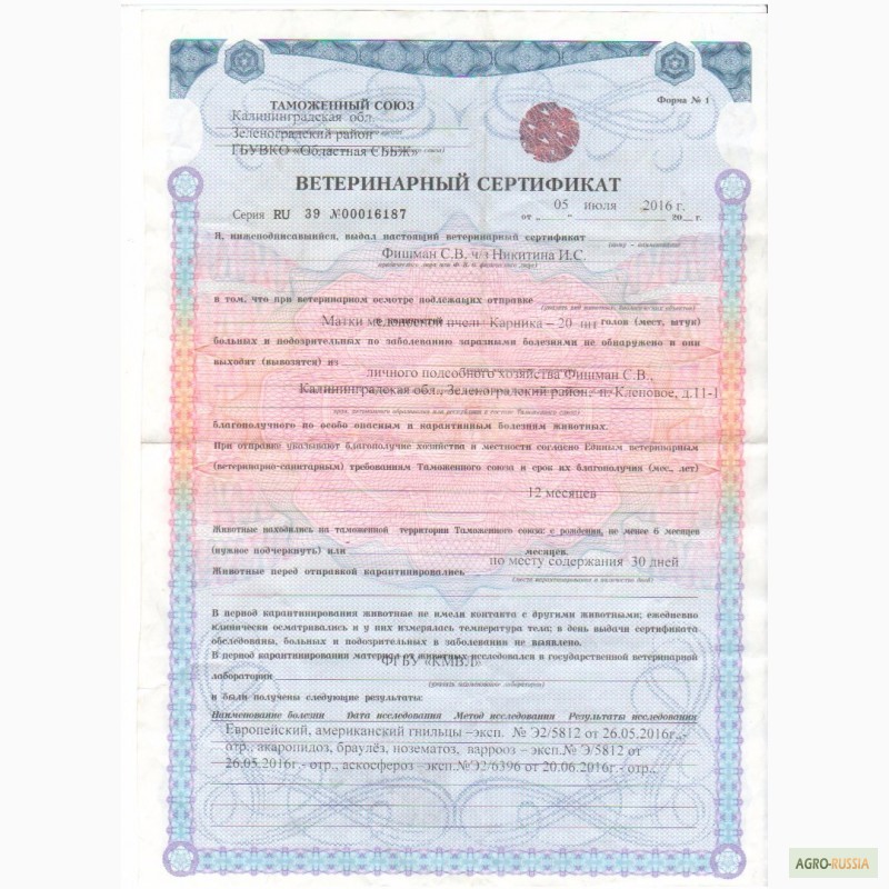 Ветеринарный сертификат образец