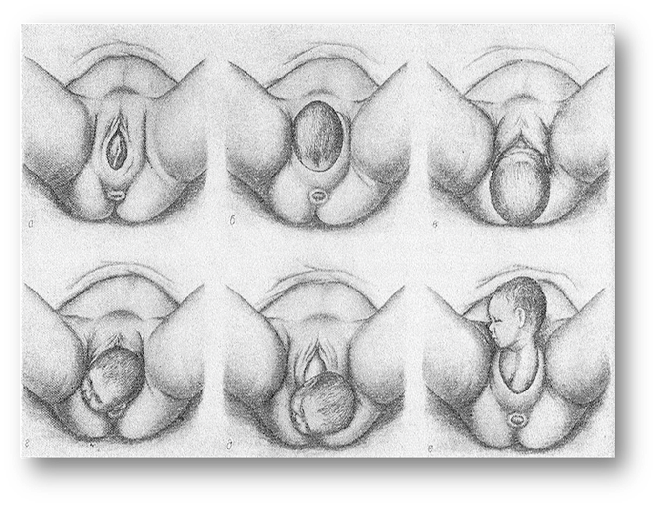 раскрытие шейки матки оргазм фото 103