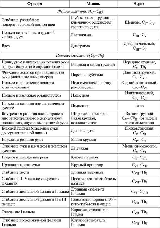 Схема по сплетениям