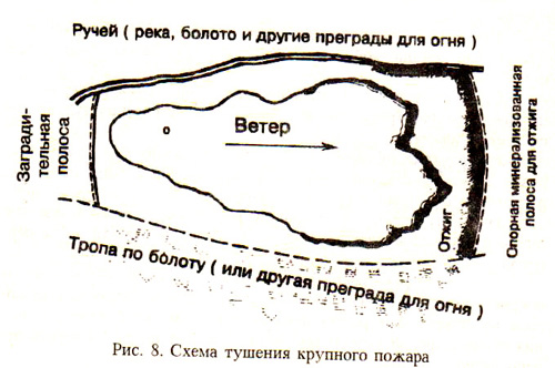 Схема тушения лесного пожара пример