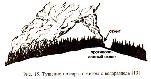 На рисунке показана ы возникшая ие после лесного пожара