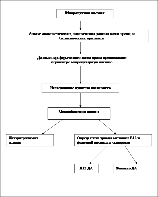Алгоритм диагностики при нормоцитарной анемии. Алгоритмпр макроцитарной анемии. Алгоритмпр макроцитарной анемии рисунок 28. Анемия алгоритм СМП.