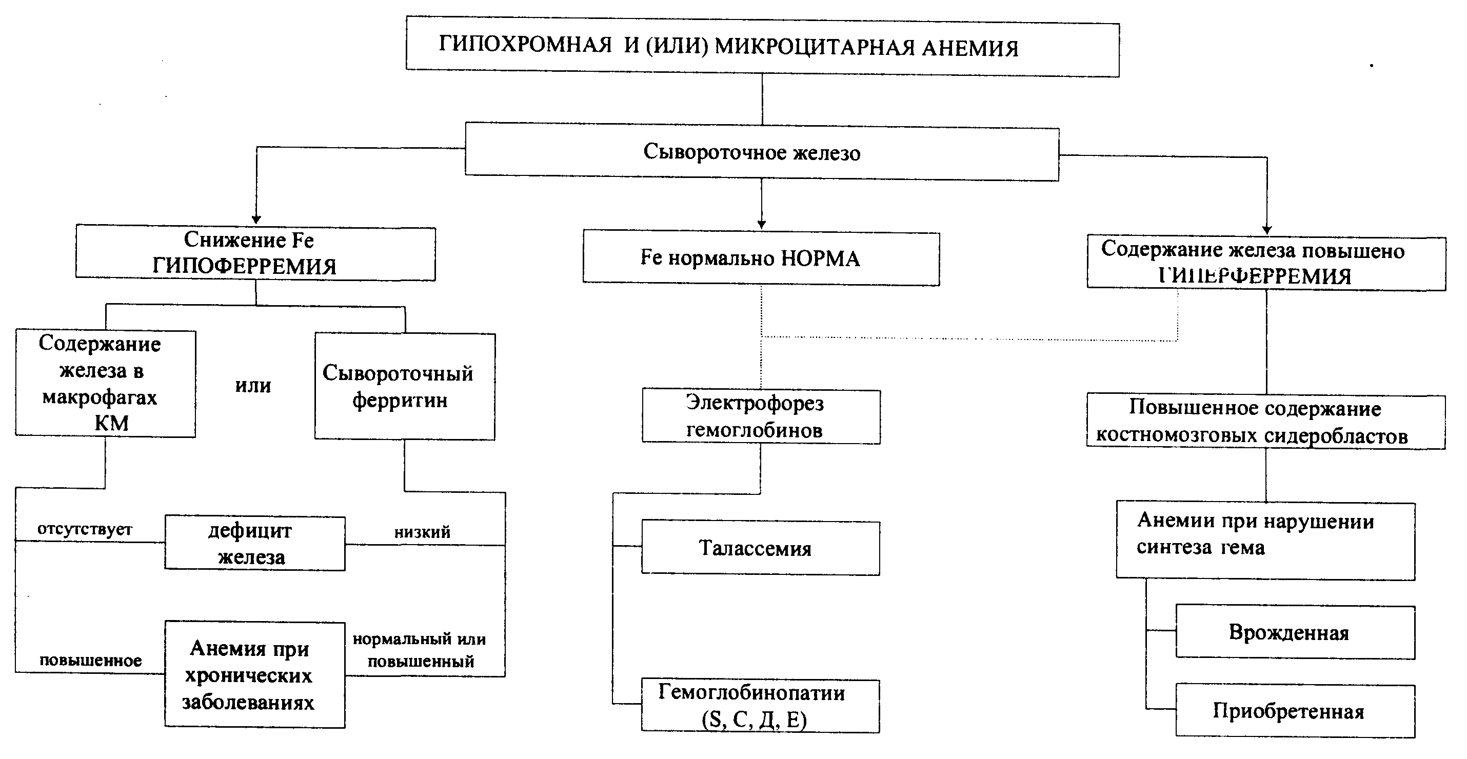 План обследования больных с анемией