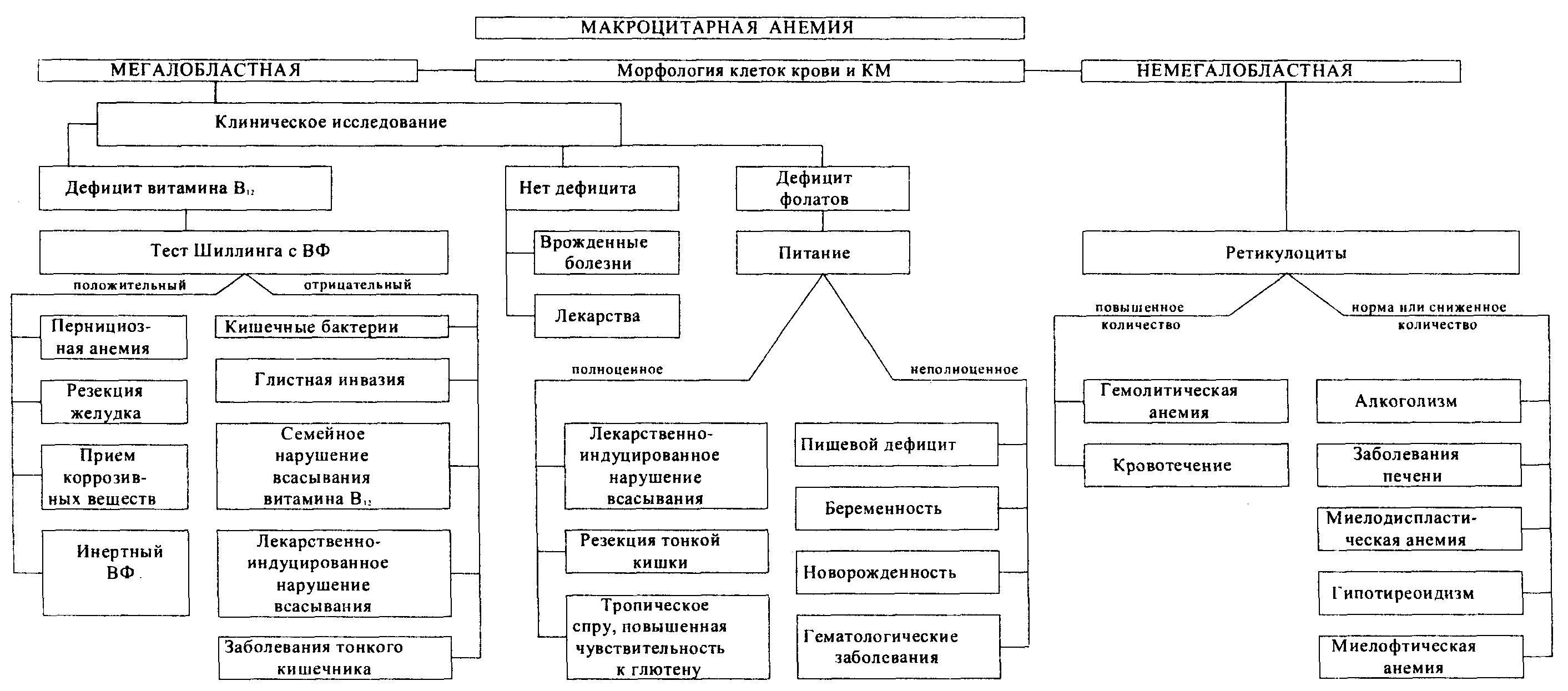 Классификация анемий схема