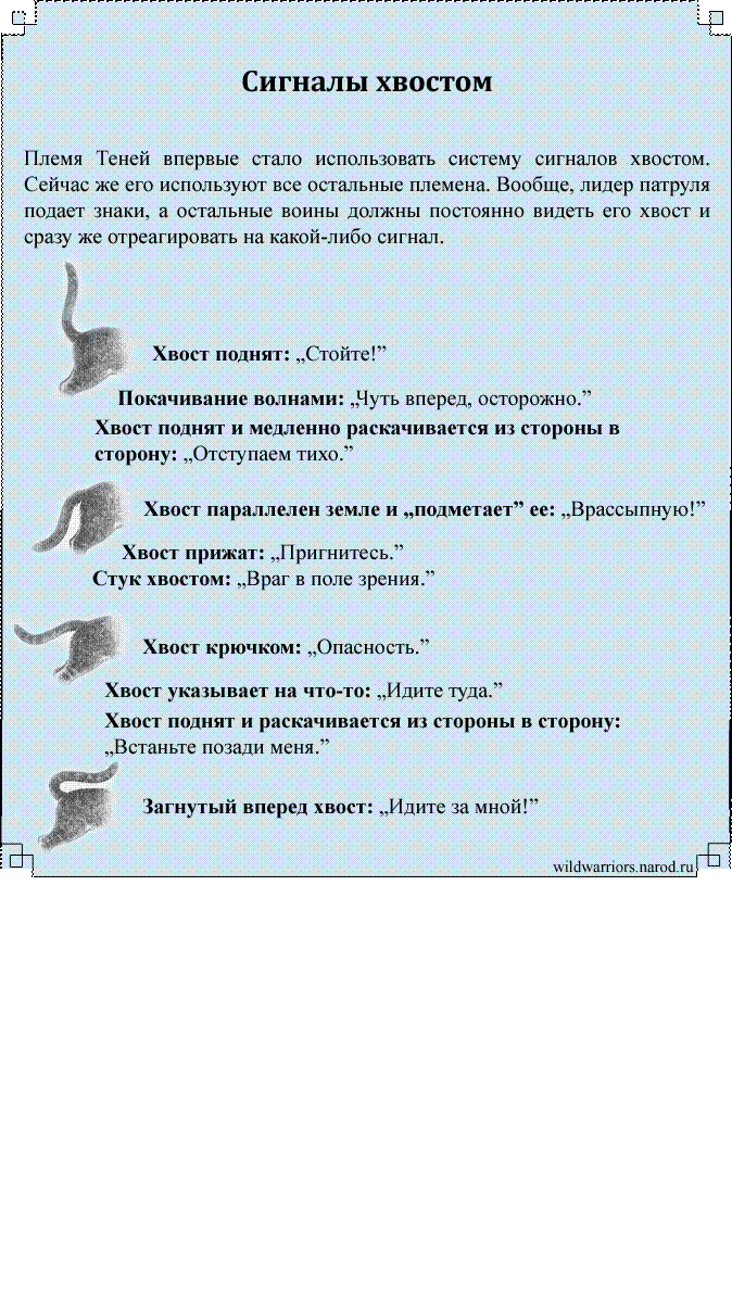 Хвостик язык. Боевые приёмы котов воителей. Хвост сигнал. Племя ветра. Факты о племени ветра.