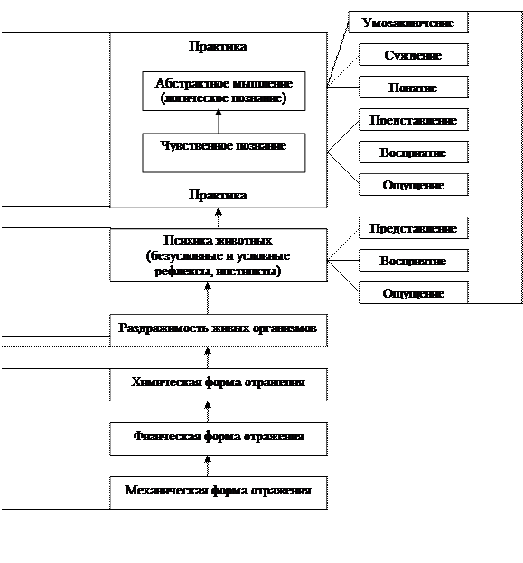 Заполните схему отражающую функции семьи