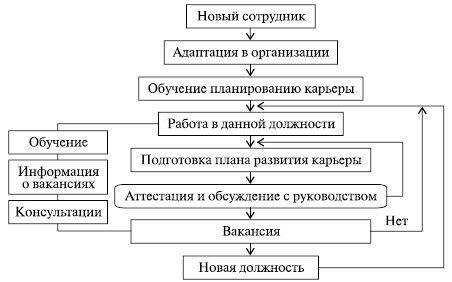 Составить план профессиональной карьеры