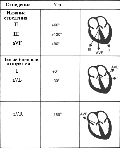 Углы ориентации. Углы ориентации стандартных отведений от конечностей. 6 Отведений. Отведения ЭКГ С углами ориентации. 6 Отведений от конечностей (i, II, III И AVR, AVL, AVF).