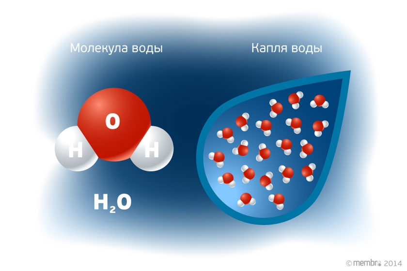 Вода в составе мембран. Молекула воды. Атомы молекулы воды. Структура молекулы воды. Модель молекулы воды.