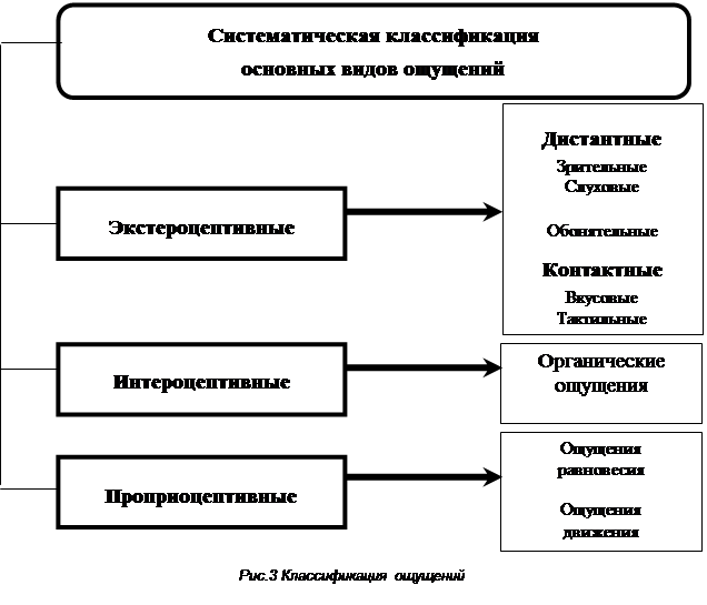 Классификация ощущений схема