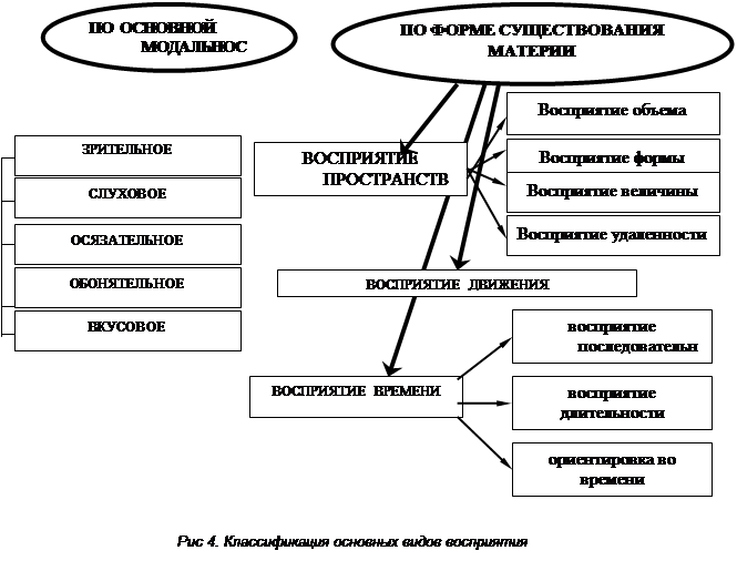 Феномены восприятия схема