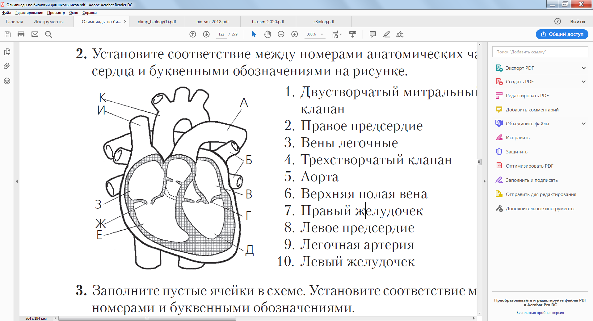 Выберите три верно обозначенные. Схема сосудов дуги аорты с обозначениями. Соединение аорты и трикуспидального клапана. Каким номером на рисунке обозначена аорта?. Соотношение аорты и левого предсердия кот.