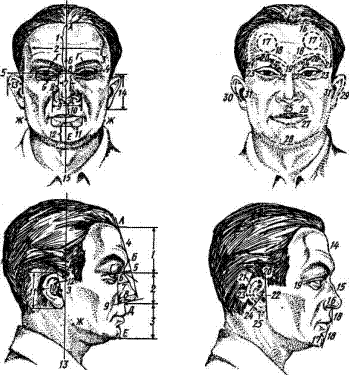 Элементы облика человека