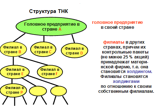 Структура тнк схема