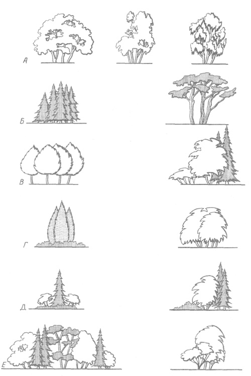 Древесно кустарниковые композиции схемы