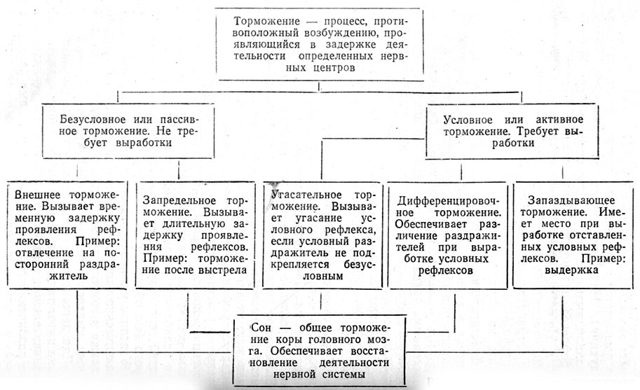 Схему развития внутреннего торможения в результате неподкрепления и отставания подкрепления