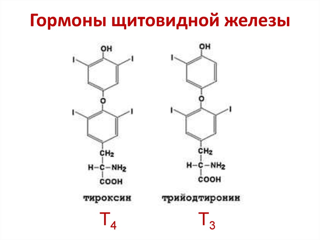 Гормоны щитовидной железы т4. Строение гормонов щитовидной железы биохимия. Тиреоидные гормоны т3 т4. Тиреоидные гормоны строение. Химическая структура щитовидной железы.