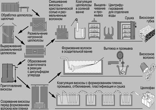 Производство масса. Блок схема получения целлюлозы. Обработка целлюлозы. Отбеливание целлюлозы. Продукты переработки целлюлозы.