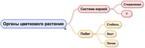 Рассмотрите схему запишите в ответе пропущенный термин обозначенный на схеме знаком вопроса стебель