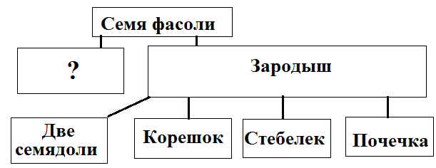 Дополните схему почва вписав недостающие понятия в этой системе