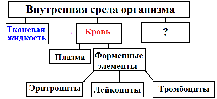 Рассмотрите схему и дайте характеристику компонентам основных блоков фс