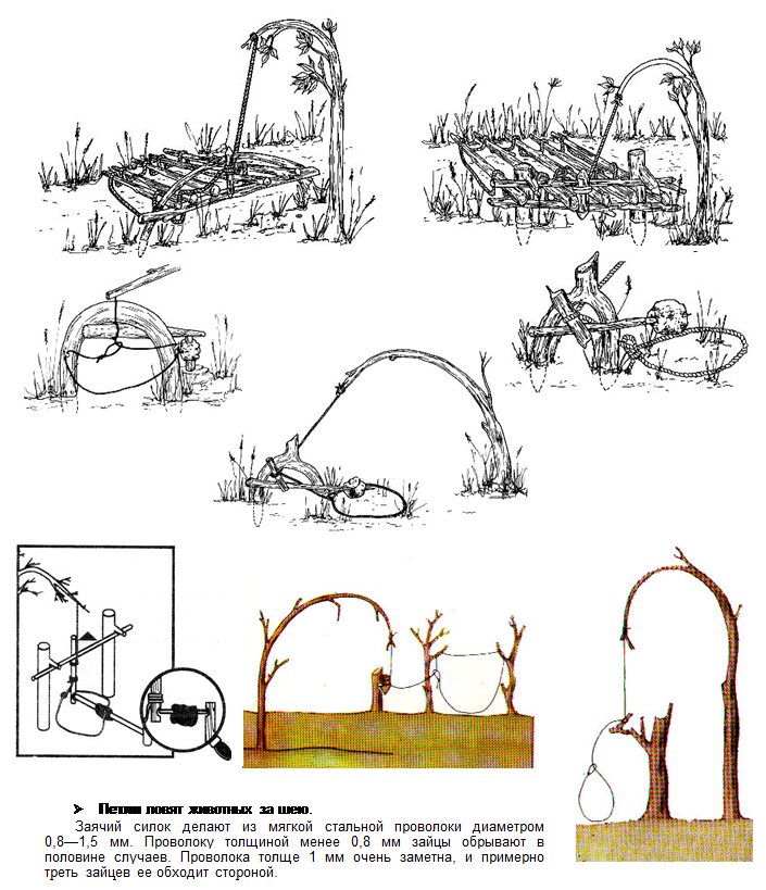 Силки. Охотничьи ловушки и самоловы. Охотничьи ловушки и самоловы на Зайцев. Охотничьи ловушки и самоловы на птиц. Выживание самоловы, ловушки, силки..