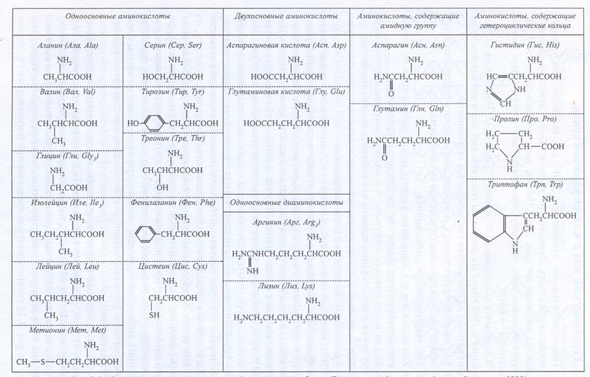 В состав входят 20 аминокислот. 20 Аминокислот таблица. 20 Аминокислот таблица аминокислоты. 20 Аминокислот биохимия. Линейная формула 20 аминокислот.