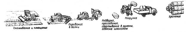 Технологическая карта заготовки сена