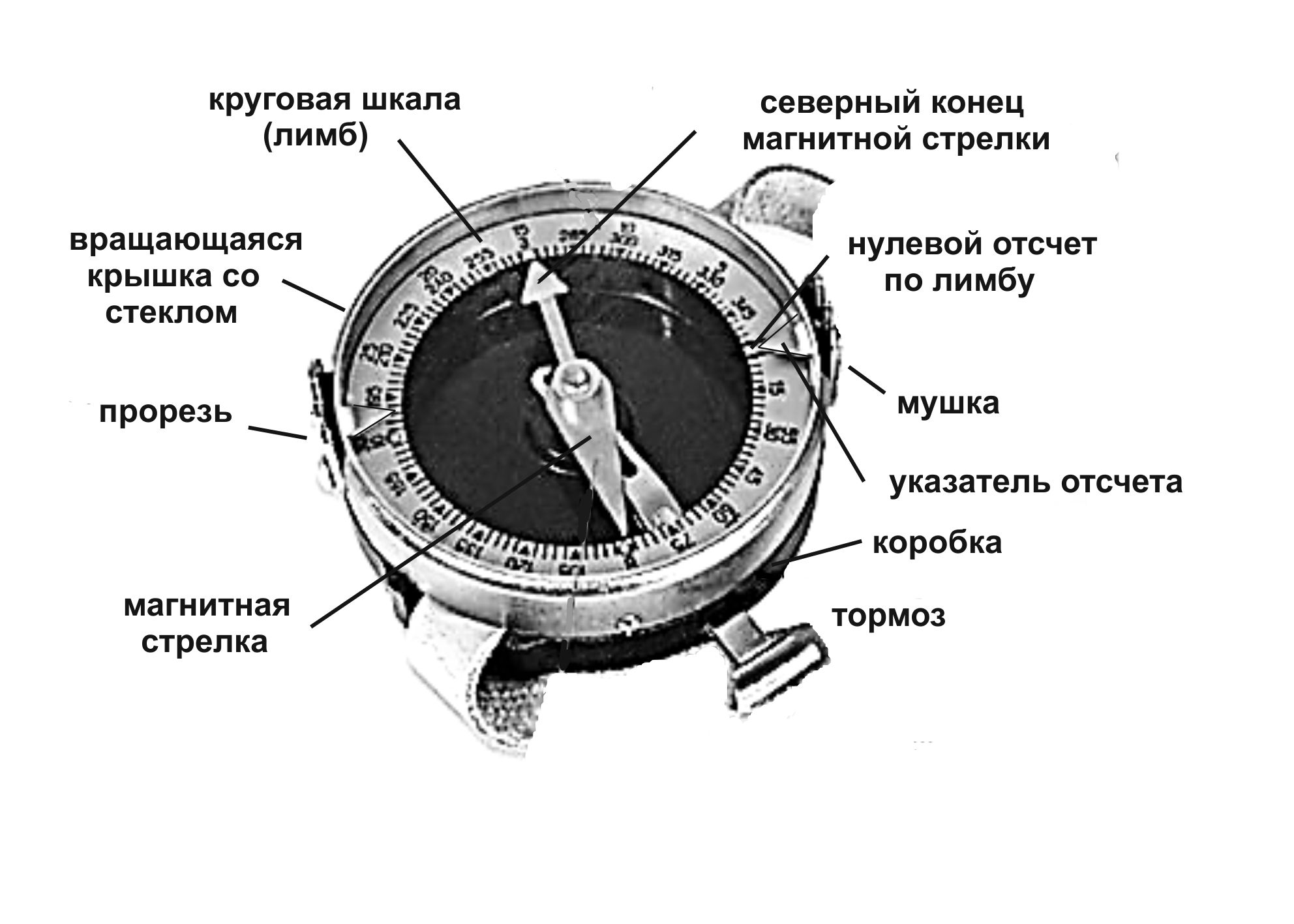 Где у компаса магнитная стрелка. Чертеж компаса Адрианова. Магнитный компас Адрианова рисунки. Из чего состоит компас Адрианова. Лимб компаса.