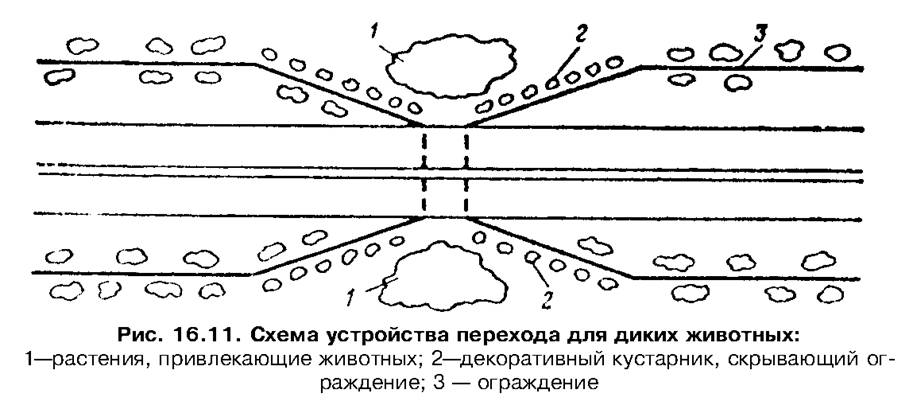 Устройство перехода. Устройство оленьих переходов. Схема скотопрогона. Экодук схема. Схема экодука.